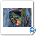 Cango Caves