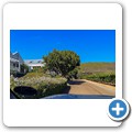 Steenberg Wine Estate