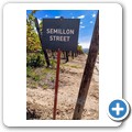 Steenberg Wine Estate