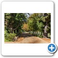 Oakhurst Olive Estate