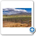 Robertson - Graham Beck Winery