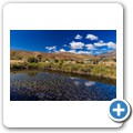 Barrydale - Blue Cow Padstall