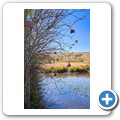 Barrydale - Blue Cow Padstall