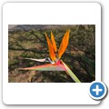Van Stadens Wild Flower NR