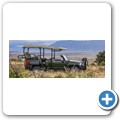 Kransplaas - Nyala Lodge - Game-Drive