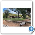 Umgede Hide - Elefant
