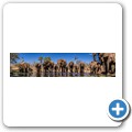 Umgede Hide - Elefant