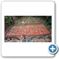 Butterfly Effect Garden