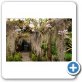 Butterfly Effect Garden