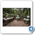 Butterfly Effect Garden