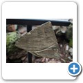 Butterfly Effect Garden