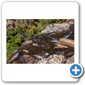Pinnacle Rock