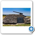 Long Tom Cannon